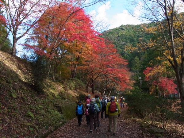 紅葉の中、スタートです。